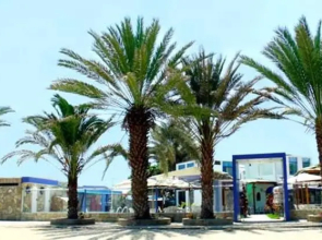 Bungalows Spilberg