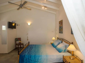 Kas Dolphin Sabal palm Bonaire
