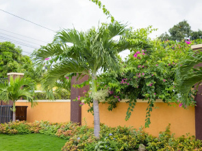 Centrally Located Guest Apartments II