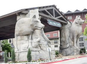 Great Wolf Lodge Grapevine
