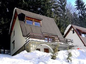 Partecznik