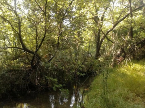 Wood Cabin by the River - for Nature Lovers