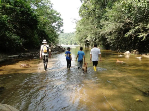 Grand Selva Lodge  Tours