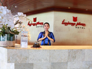 Tanjung Plaza Hotel