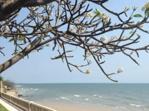 Palm Pavillion Huahin