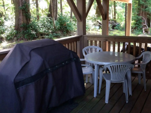 Reef Point Forest Suite