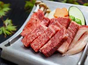 Sujiyu Onsen Kujyu Iyashi no Sato Hotel Dai Kogen