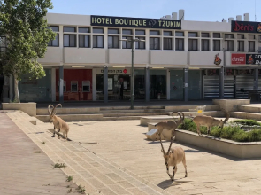 Boutique Hotel by Tzukim