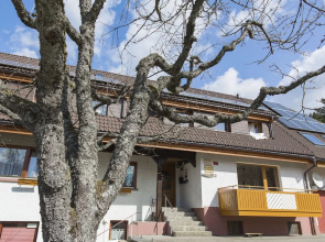 Kuckucksnester Menzenschwand (Vorderdorf)