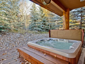 The Fleeter Home by Alpine Ski Properties