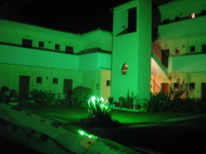 Palatino Studios