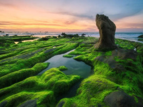 Mandala Cham Bay Mui Ne