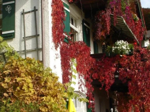 Pension Schwarzenbach