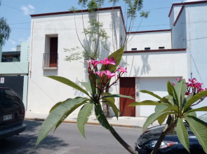 Casa Vacacional Jalatlaco