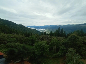 Laxmi Homestay Lepcha Jagat