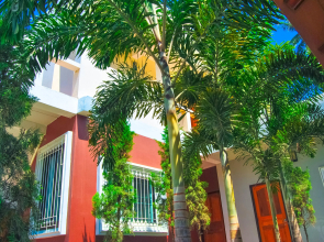 Sarin Guesthouse