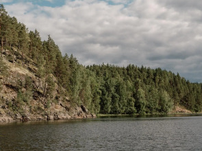 Вили Улей Карелия