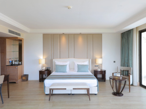 Juju Premier Palace 