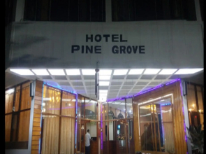 Hotel Pine Grove