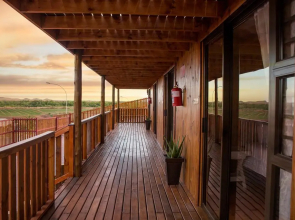 Kalahari Lion's Rest