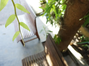 Som Khounmeung Guesthouse