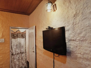 Eco Loft- 1 BHK Loft with Large Balcony