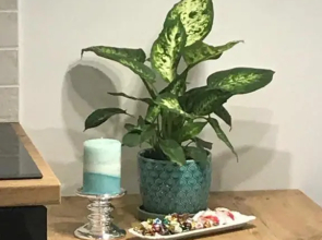 DbD Apartament Gray Turkus Studio