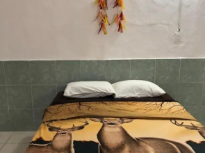 Posada 77