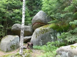 Apartment Riemenschneider