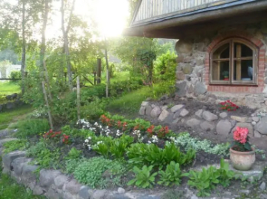 Rūši
