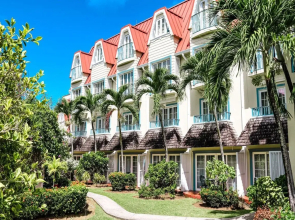 Coco Palm