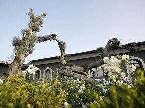 Guest House Terra di Venera