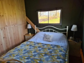 Orchid at Sunsets and Marshmallows