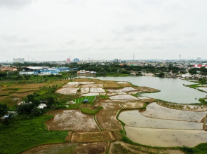 Studio Apartment With Bathtub At Azalea Suites