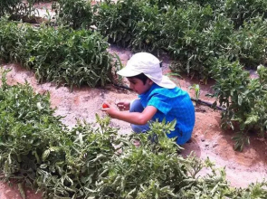 Habiba Organic Farm