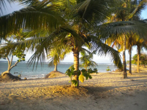 Caribbean Sun Residential