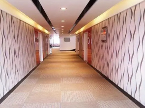 Thank Inn Chain Hotel Sichuan Suining Mingyue Road