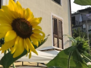 Antico Borgo San Francesco