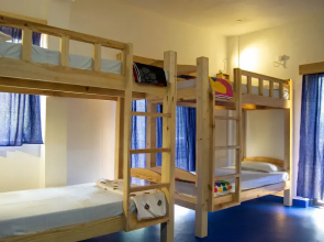 Green Nest Hostel