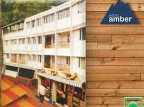 Hotel Amber