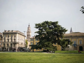 Piazza Ghiaia Lovely Apartment