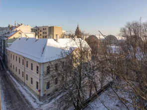 Cosy studio apartment in Ridzenes residence