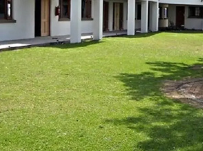 Olive Grove Country Lodge