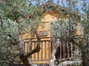Palazzo Conforti Tree House Resort