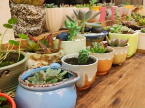 Tiantai ManXiuShe Homestay