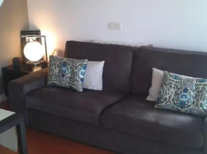 Vaulted Ceiling Apartment in Principe Real