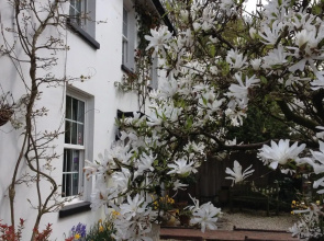 Clayhill House Bed & Breakfast