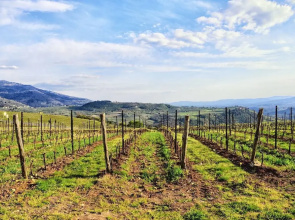 Romantic flat in Florence Countryside Apartment 1 BestStayz.1