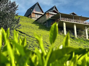 Celazeni̇ Bungalov
