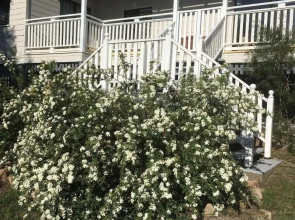 Glen Aplin Gardens B&B